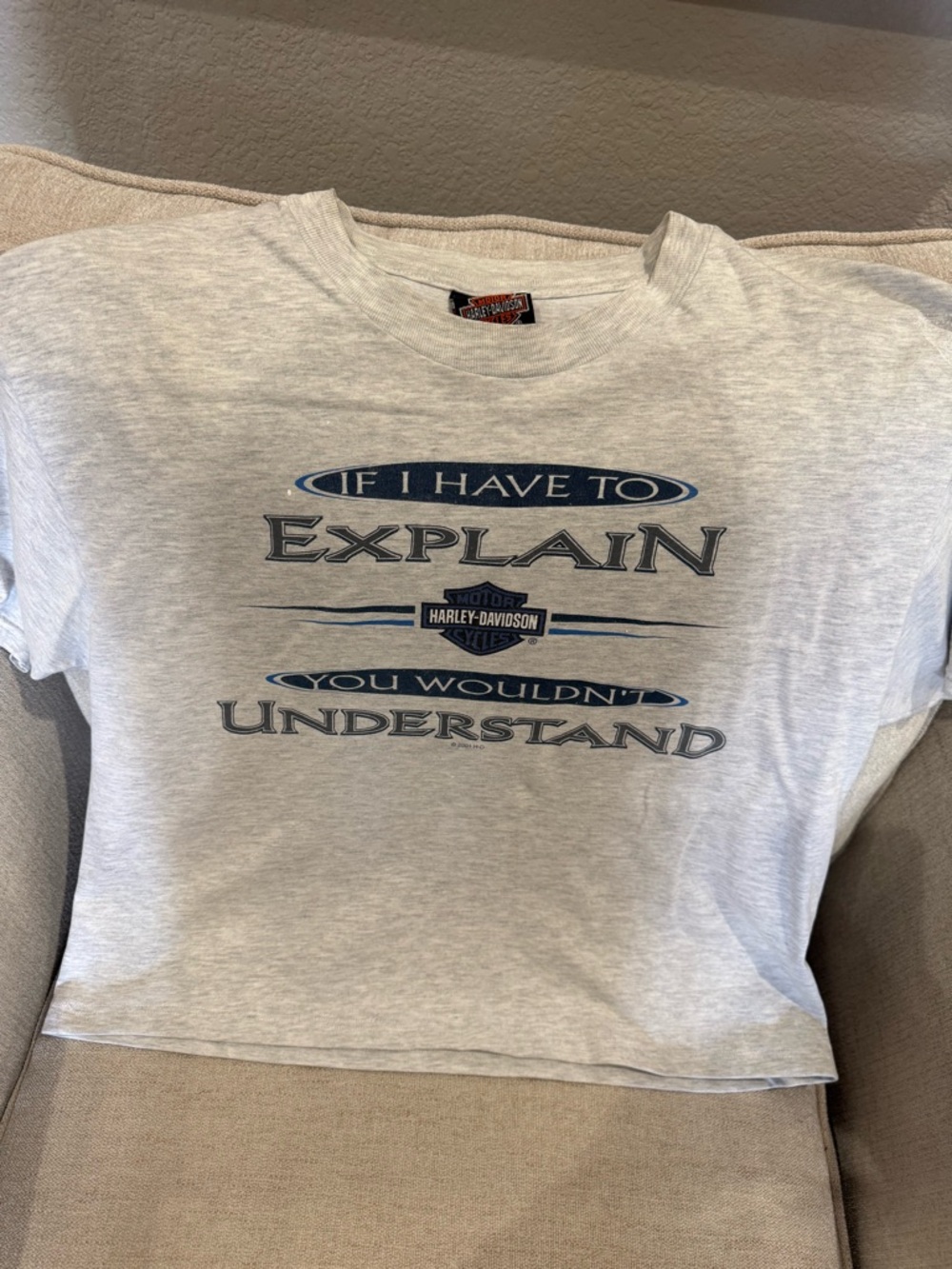 Harley-Davidson Light Gray Kids Tee with Blue Graphic